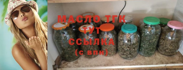 спиды Бородино